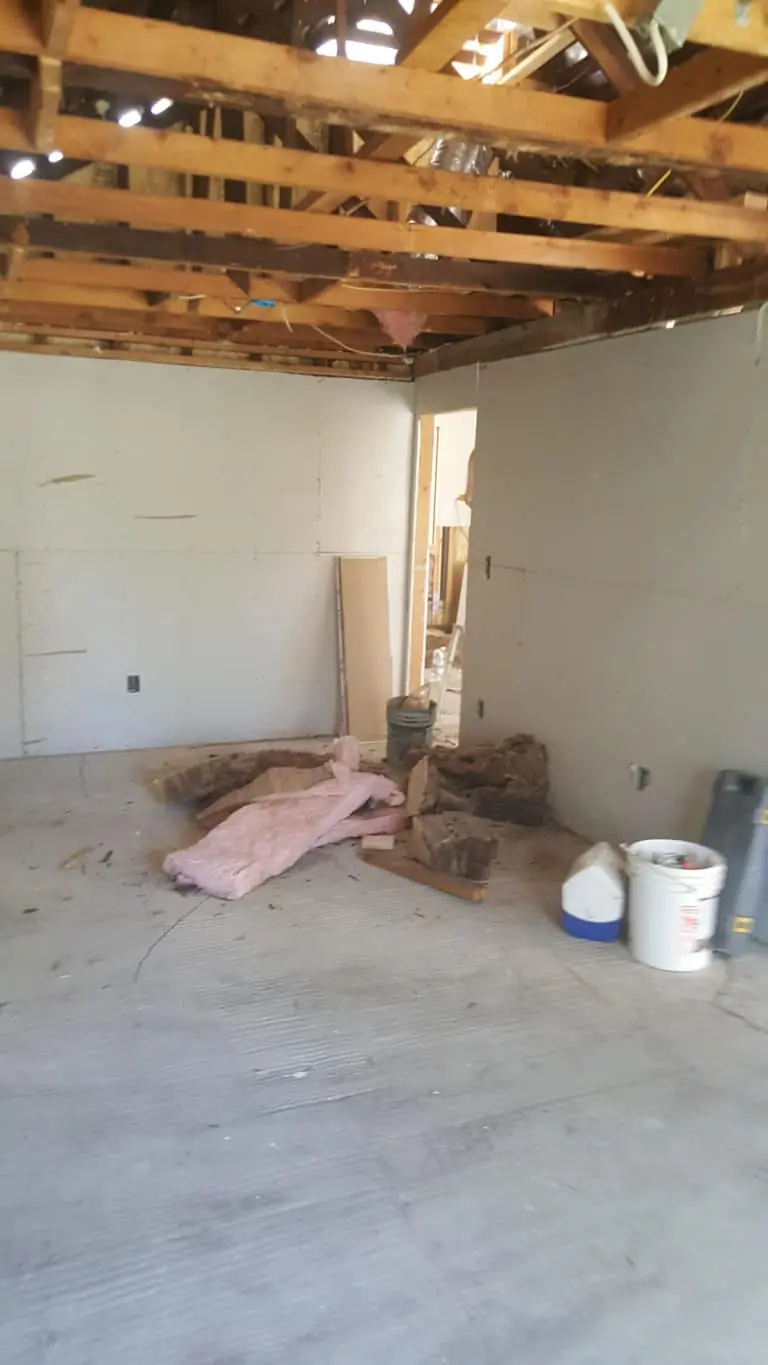 Garage stripped back to the studs and rafters at the start of an ADU conversion